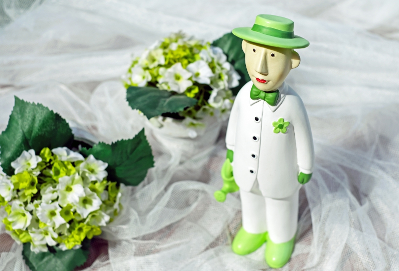 ecommerce-MOISSAC BELLEVUE-min_man-person-flower-green-toy-fig-546529-pxhere.com